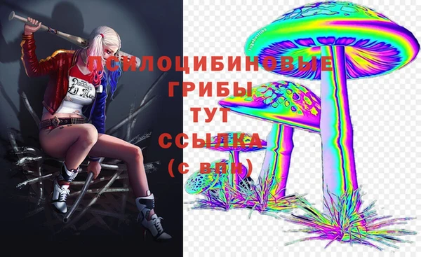 МДПВ Костерёво