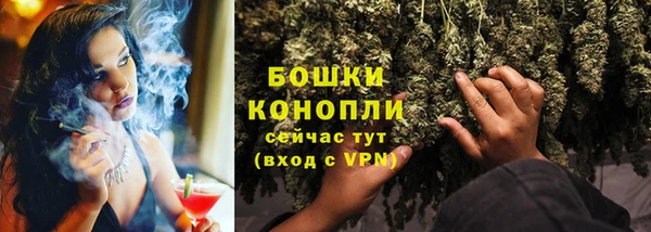 spice Абаза